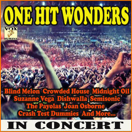 Album cover of One Hit Wonders in Concert (Live)
