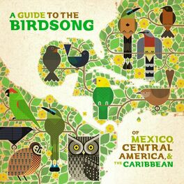 Album cover of A Guide to the Birdsongs of Mexico, Central America & The Caribbean