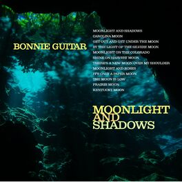Album cover of Moonlight and Shadows