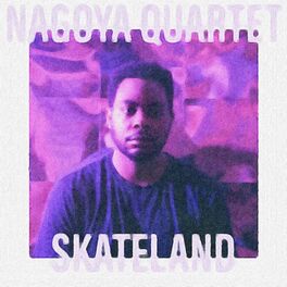 Album cover of Skateland