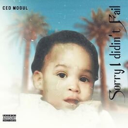 Album cover of Sorry I Didnt Fail