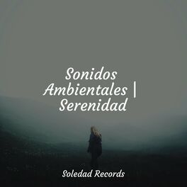 Album cover of Sonidos Ambientales | Serenidad