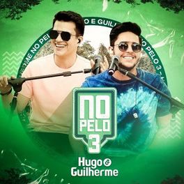 Album cover of No Pelo 3 (Ao Vivo)