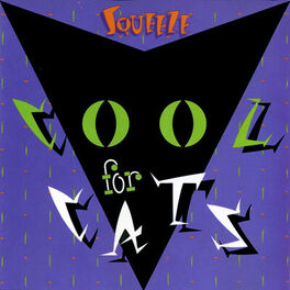 Album cover of Cool For Cats