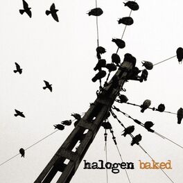 Album cover of Baked