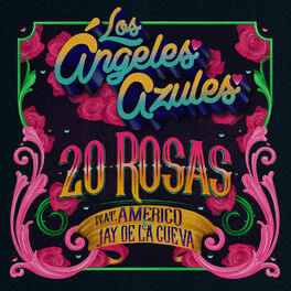 Album cover of 20 Rosas