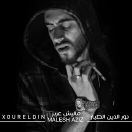 Album cover of Malesh Aziz