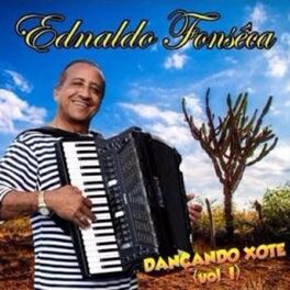 Album cover of Dançando Xote - Vol. I