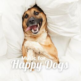 Music for dogs to best sale be happy