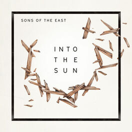 Album cover of Into The Sun