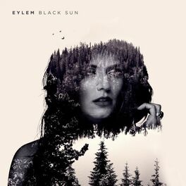 Album cover of Black Sun