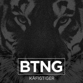 Album cover of Käfigtiger