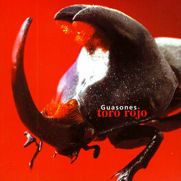 Album cover of Toro Rojo