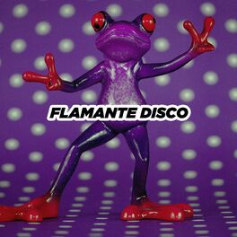 Album cover of Flamante Disco
