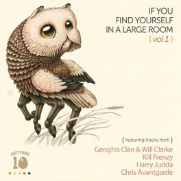 Album cover of If You Find Yourself In A Large Room, Vol. 1