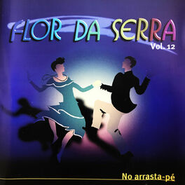 Album cover of No Arrasta-Pé, Vol. 12