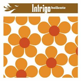 Album cover of Bollente