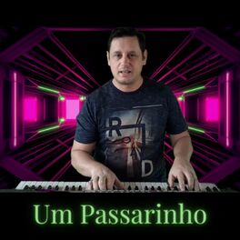 Album cover of Um Passarinho