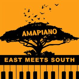 Album cover of Amapiano: East Meets South