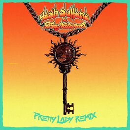 Album cover of Pretty Lady (Free Nationals Remix)