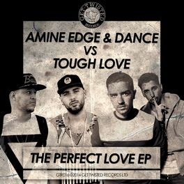 Album cover of The Perfect Love