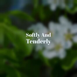 Album cover of Softly And Tenderly