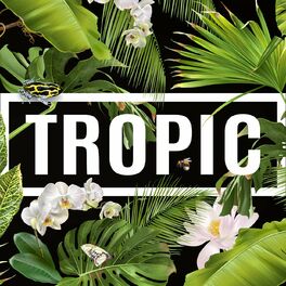 Album cover of Tropic