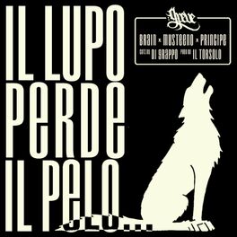 Album cover of Il lupo perde il pelo... (feat. Brain, Musteeno, Principe, Dj Grappo & Il Torsolo)