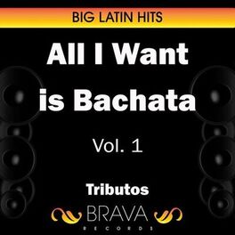 Album cover of All I Want Is Bachata Vol. 1