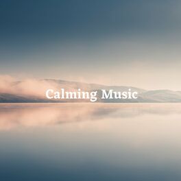 Album cover of Calming Music