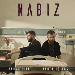 Album cover of Nabız