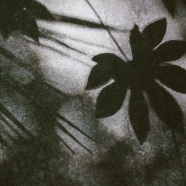 Album cover of FIFTH FINGER