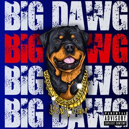 Album cover of Big Dawg (feat. Sada baby & Omb Peezy)