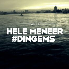 Album cover of Hele Meneer #Dingems - EP