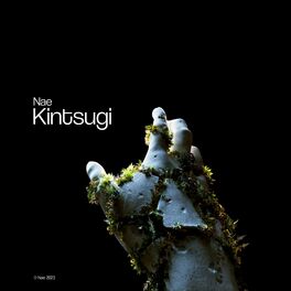 Album cover of Kintsugi