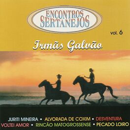 Album cover of Encontros Sertanejos, Vol. 6
