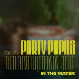 Album cover of In the Water (Party Pupils Remix)