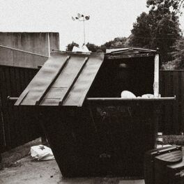 Album cover of Dumpster Dive