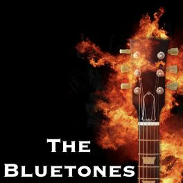 Album cover of The Bluetones - BBC Radio Broadcast Reading Festival UK 26th August 1995.