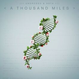 Album cover of A Thousand Miles