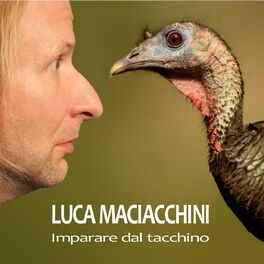 Album cover of Imparare dal tacchino