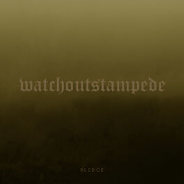 Album cover of Pledge