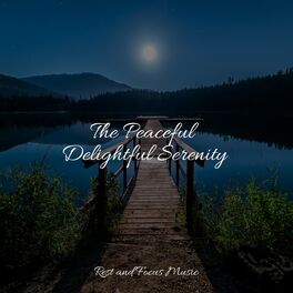 Album cover of The Peaceful Delightful Serenity
