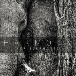 Album cover of Harmony for Elephants