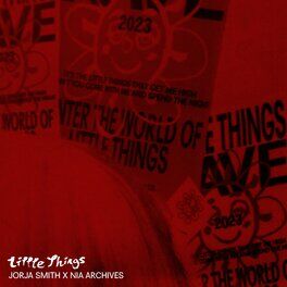 Album cover of Little Things (Nia Archives Remix)