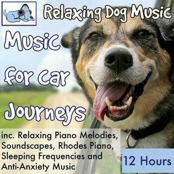 can dogs listen to music