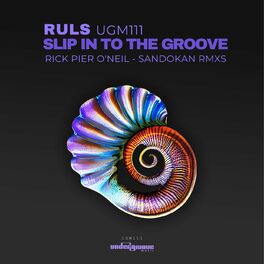 Album cover of Slip in to the Groove