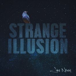 Album cover of Strange Illusion