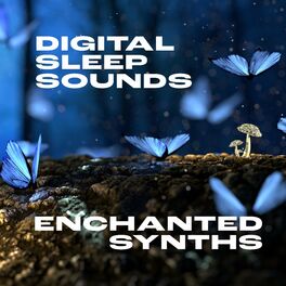 Album cover of Enchanted Synths