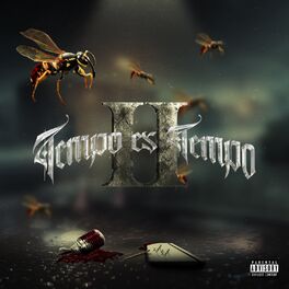 Album cover of Tempo Es Tempo II